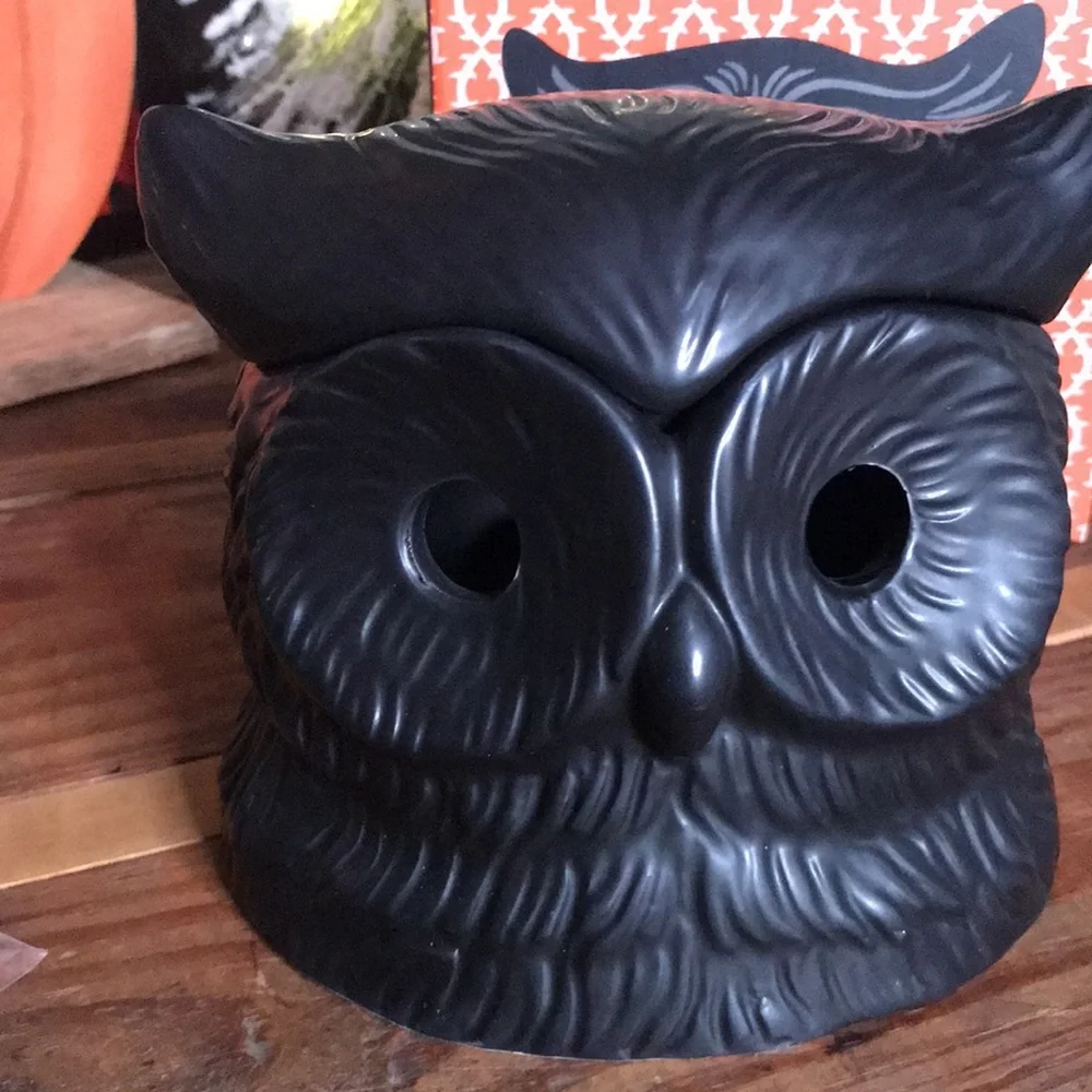 Crate&Barrel X PATCH NYC Collaboration Whimsical Black Owl Incense Burner 🦉